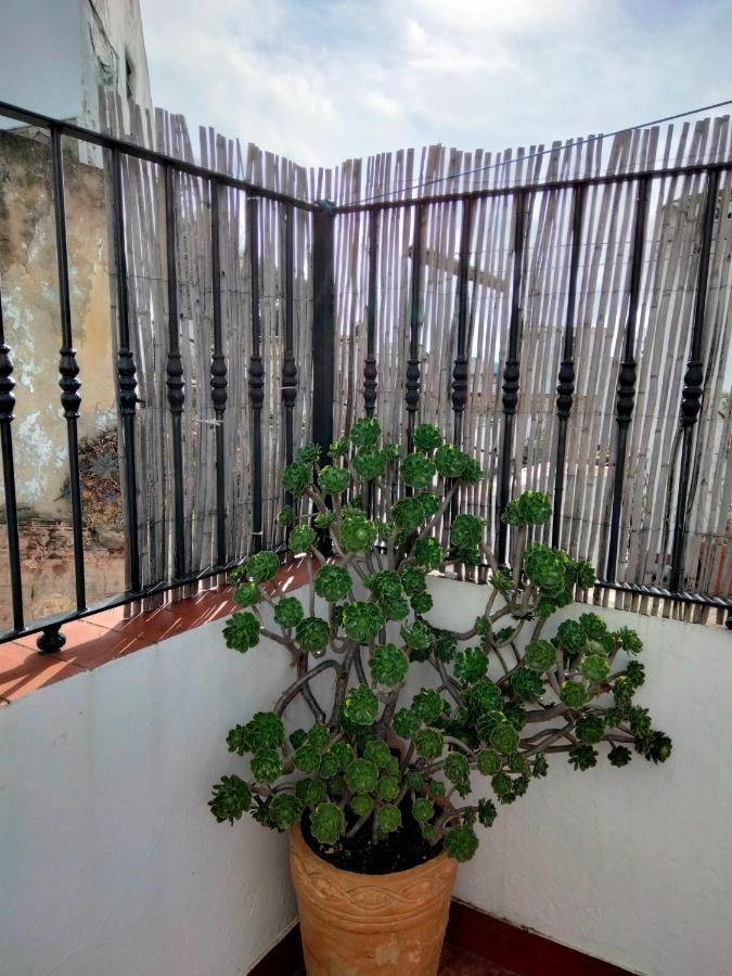 Casa Vista Villa Alcalá de los Gazules Eksteriør bilde